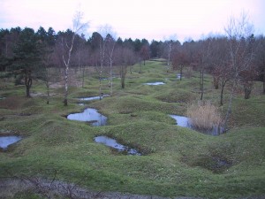 verdun05