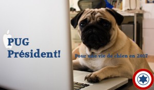 Pug Président